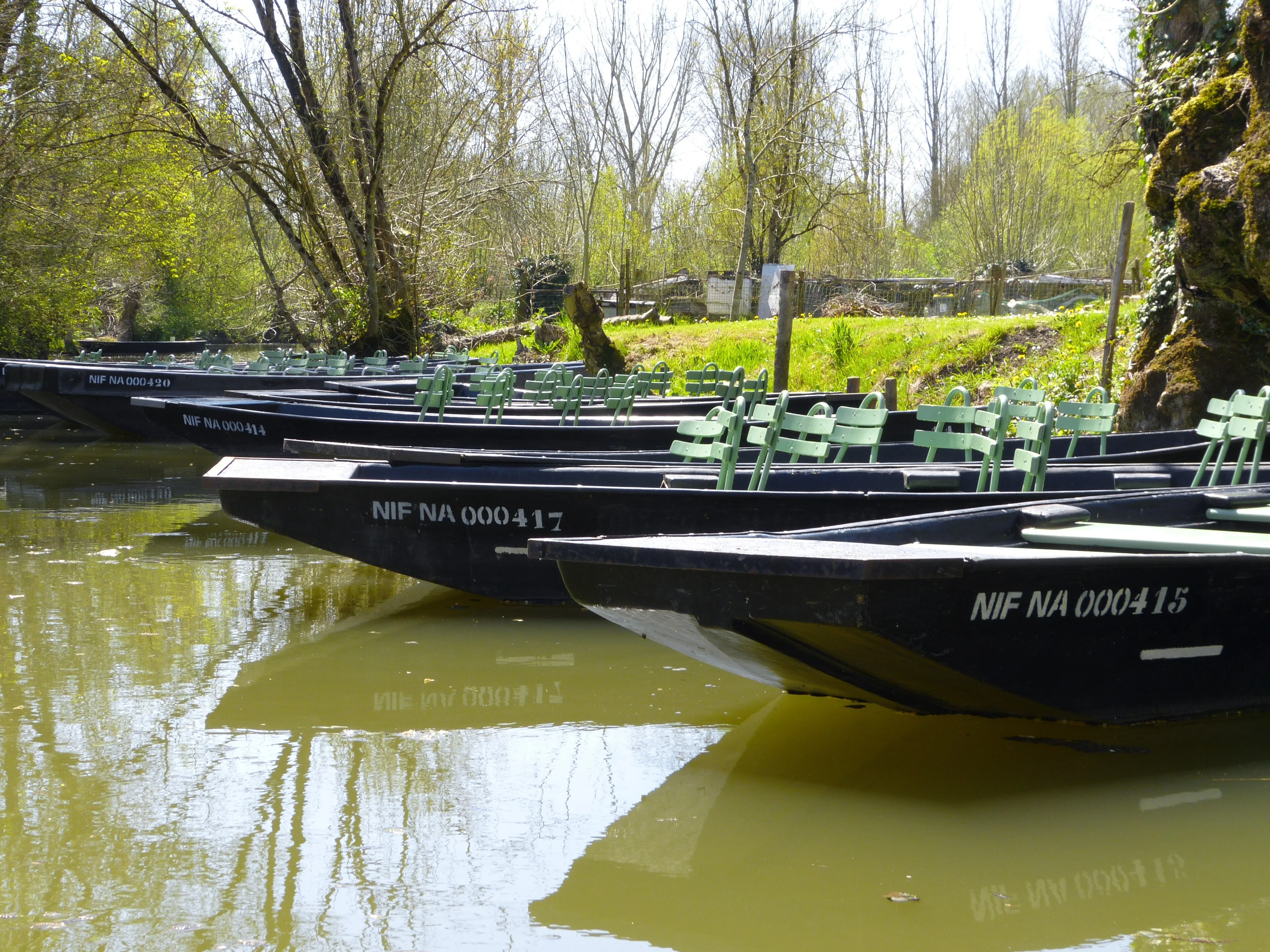 Traditional boats on a canal of Marais poitevin, the green Venice